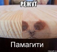 режут 