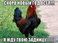 скоро новый год осел!!! я жду твою задницу))))))