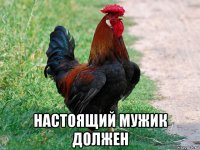  настоящий мужик должен