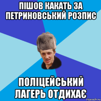 пішов какать за петриновський розпис поліцейський лагерь отдихає