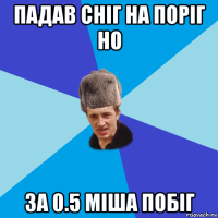 падав сніг на поріг но за 0.5 міша побіг