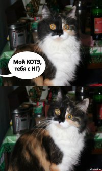 Мой КОТЭ, тебя с НГ)