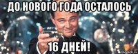 до нового года осталось 16 дней!