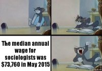The median annual wage for sociologists was $73,760 in May 2015