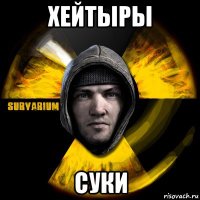 хейтыры суки