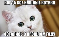 когда все няшные котики остались в прошлом году