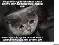 Каждый раз когда ты не любишь и боишся котика то в мире умерает 100котиков извенись за них Ты без сердечный когда беш котика ты не то что без сердечный ты без души и дурак или дура