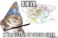 вжух, и ты устал от этого кота