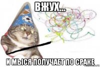 вжух... и мыся получает по сраке