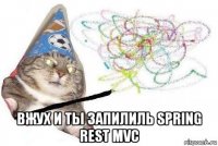  вжух и ты запилиль spring rest mvc