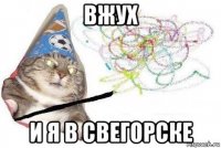 вжух и я в свегорске