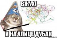 вжух! и на улице дубак