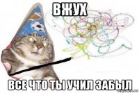 вжух все что ты учил забыл