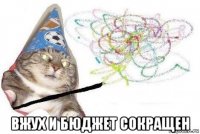  вжух и бюджет сокращен