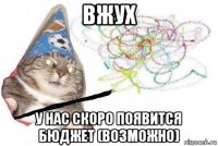 вжух у нас скоро появится бюджет (возможно)