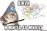 вжух и ми за 40 минут