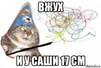 вжух и у саши 17 см