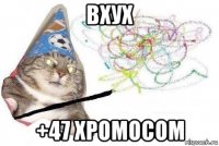 вхух +47 хромосом