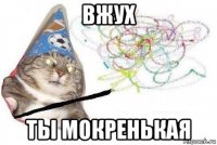 вжух ты мокренькая