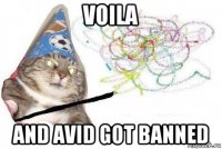 voila and avid got banned