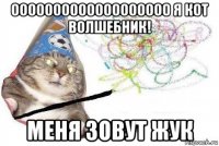 ооооооооооооооооооо я кот волшебник! меня зовут жук