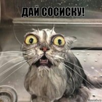 дай сосиску! 