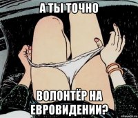 а ты точно волонтёр на евровидении?