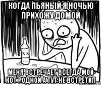 когда пьяный я ночью прихожу домой меня встречает всегда мой кот родной а тут не встретил