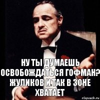 Ну ты думаешь освобождаться Гофман?
Жуликов и так в зоне хватает