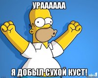 ураааааа я добыл сухой куст!