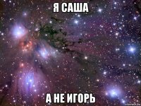 я саша а не игорь