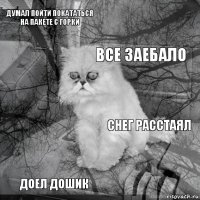 думал пойти покататься на пакете с горки снег расстаял все заебало доел дошик      