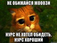 не обижайся жооози нурс не хотел обидеть, нурс хороший