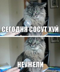 Сегодня сосут хуй Неужели