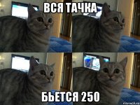 вся тачка бьется 250