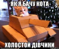 як я бачу кота холостой дівчини