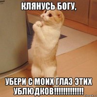 клянусь богу, убери с моих глаз этих ублюдков!!!!!!!!!!!!!