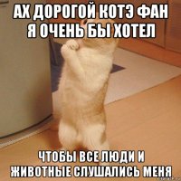 ах дорогой котэ фан я очень бы хотел чтобы все люди и животные слушались меня