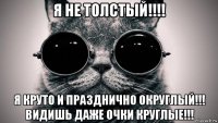 я не толстый!!!! я круто и празднично округлый!!! видишь даже очки круглые!!!