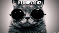 кто крутой? 