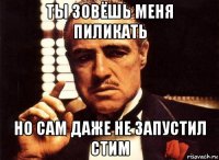 ты зовёшь меня пиликать но сам даже не запустил стим