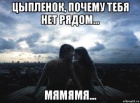 цыпленок, почему тебя нет рядом... мямямя...