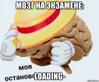 мозг на экзамене: loading-