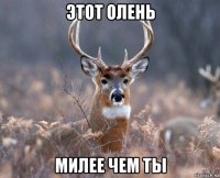 этот олень милее чем ты