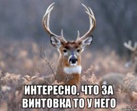  интересно, что за винтовка то у него