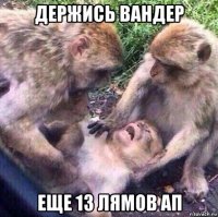 держись вандер еще 13 лямов ап