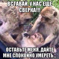 вставай, у нас еще сверка!!! оставьте меня, дайте мне спокойно умереть...