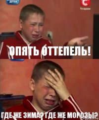 Опять оттепель! Где же зима? Где же морозы?