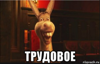  трудовое