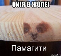 ой!я в жопе! 